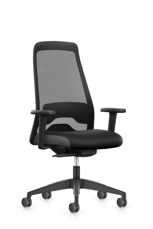 Interstuhl Everyis1 EV25R